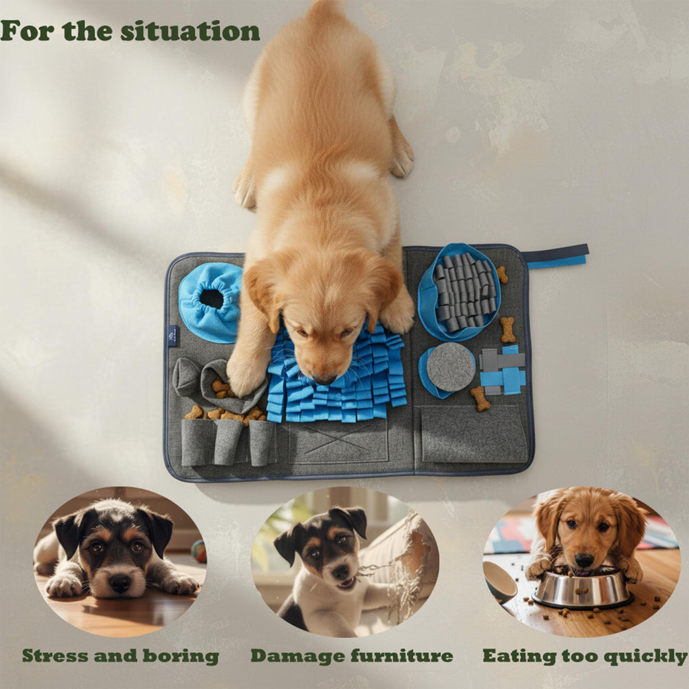 CareCooo snuffle mat blue dog-eating scene promotes slow feeding