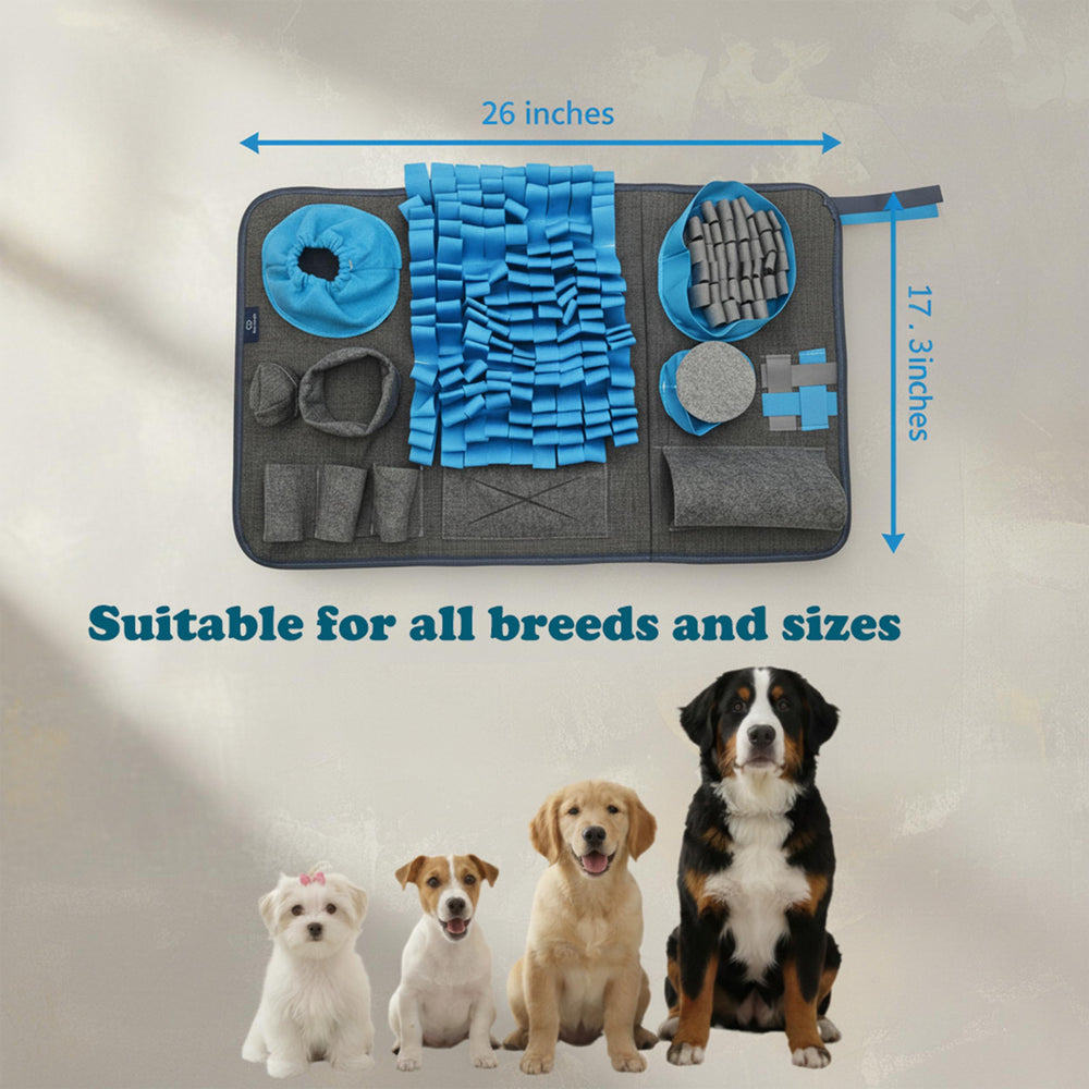 CareCooo snuffle mat blue washable design simplifies cleaning and reuse