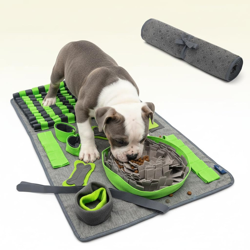 CareCooo snuffle mat dog green full shot demonstrates foraging enrichment and boredom relief for larger dogs
