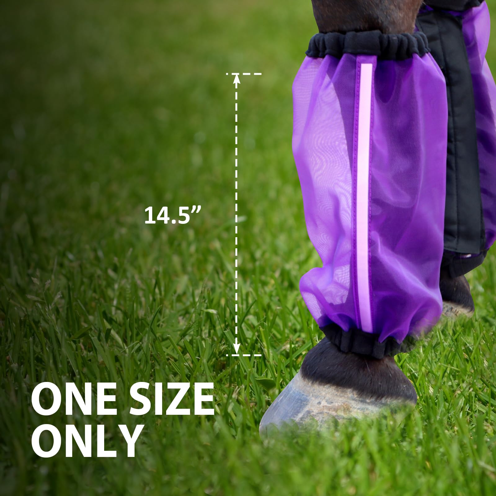 CareMaster set of 4-pack image emphasizing value and consistent protection for training days
