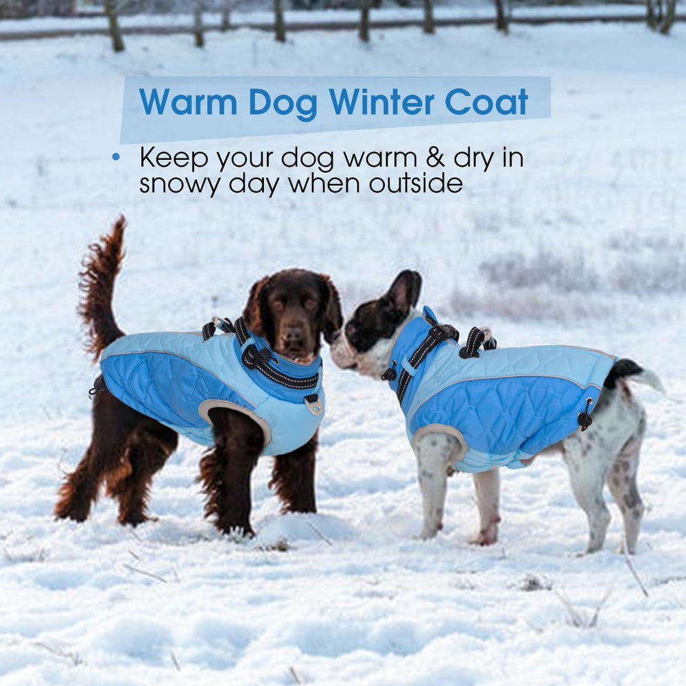 CAREUPET XL blue coat with adjustable buckles for snug fit.