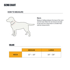 Carhartt Field Dog Collar metal D-ring and adjuster durability