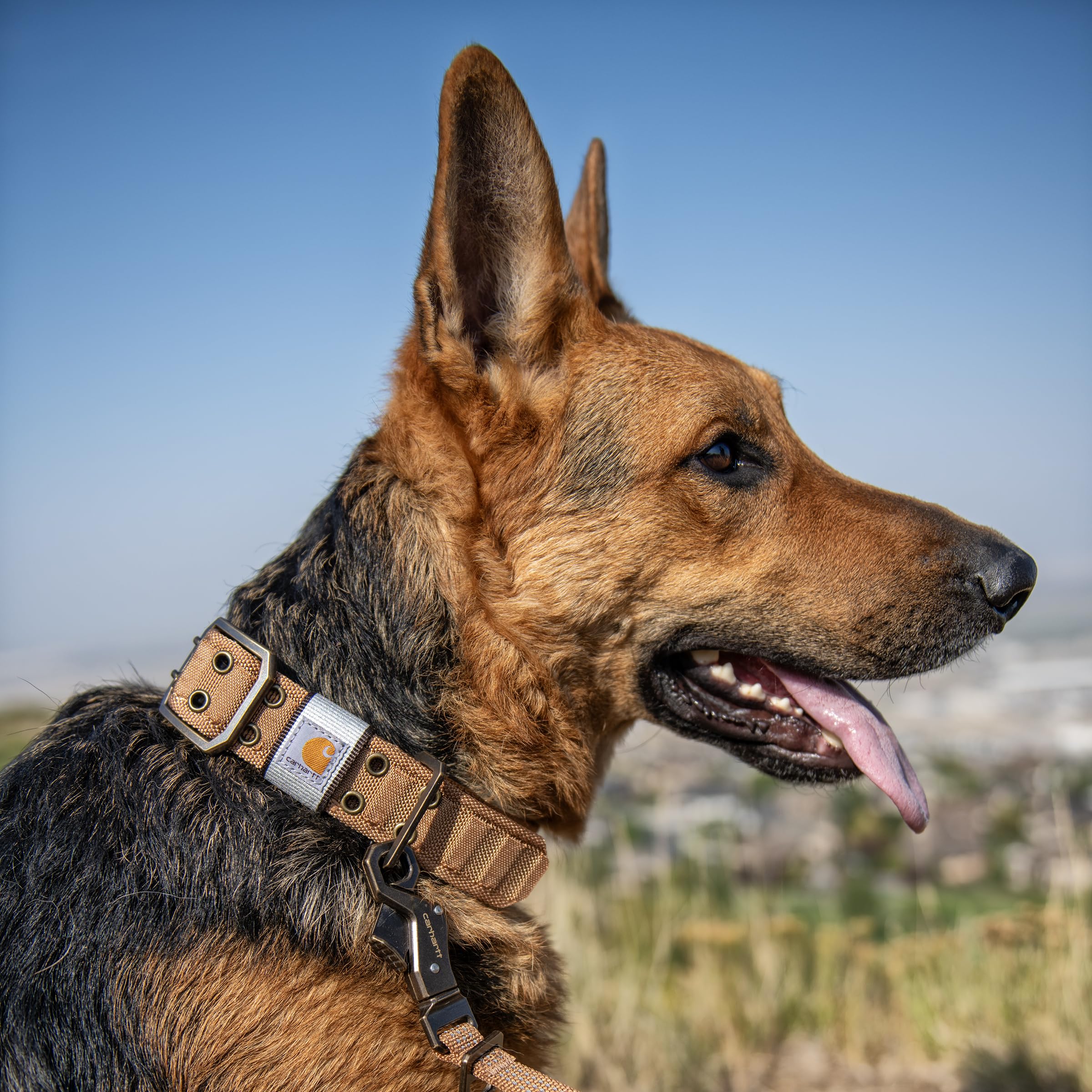 Carhartt Collar hiking-muddy-parks-nylon ideal for rugged outdoor use.
