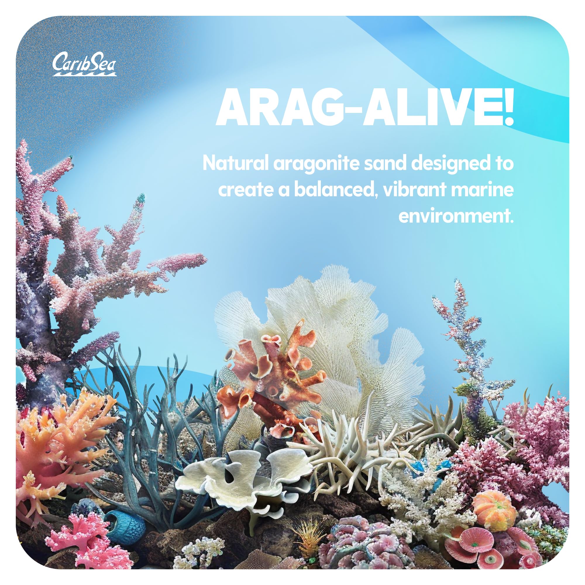 CaribSea Arag-Alive 20 lb bag ready-to-use substrate supporting coral growth.