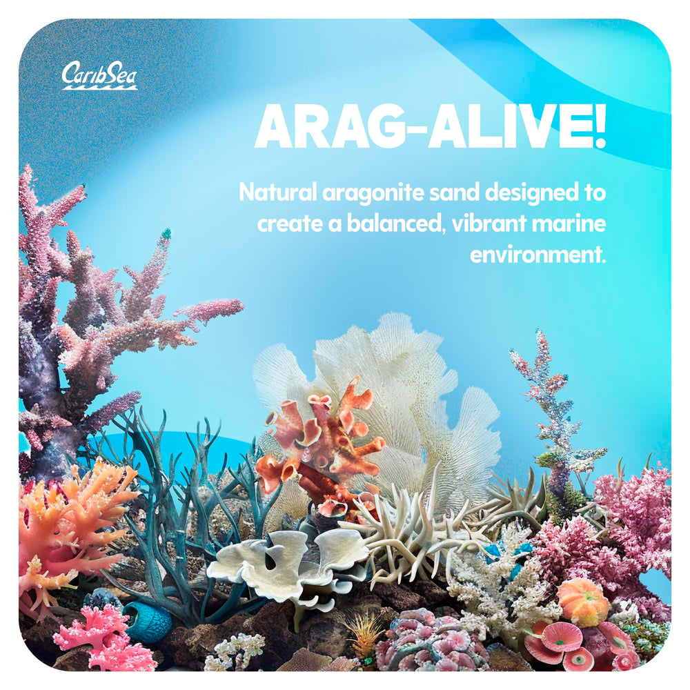 CaribSea Arag-Alive 20 lb bag ready-to-use substrate supporting coral growth.