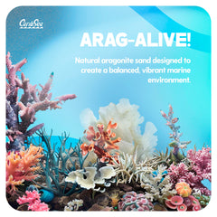CaribSea Arag-Alive 20 lb bag ready-to-use substrate supporting coral growth.