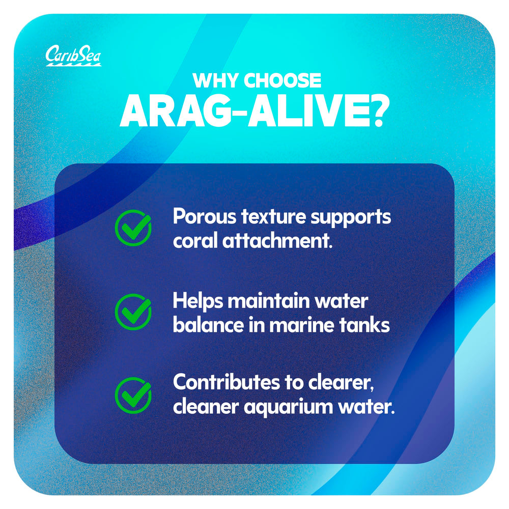 CaribSea Arag-Alive sand texture closeup reveals porous grains aiding natural filtration.