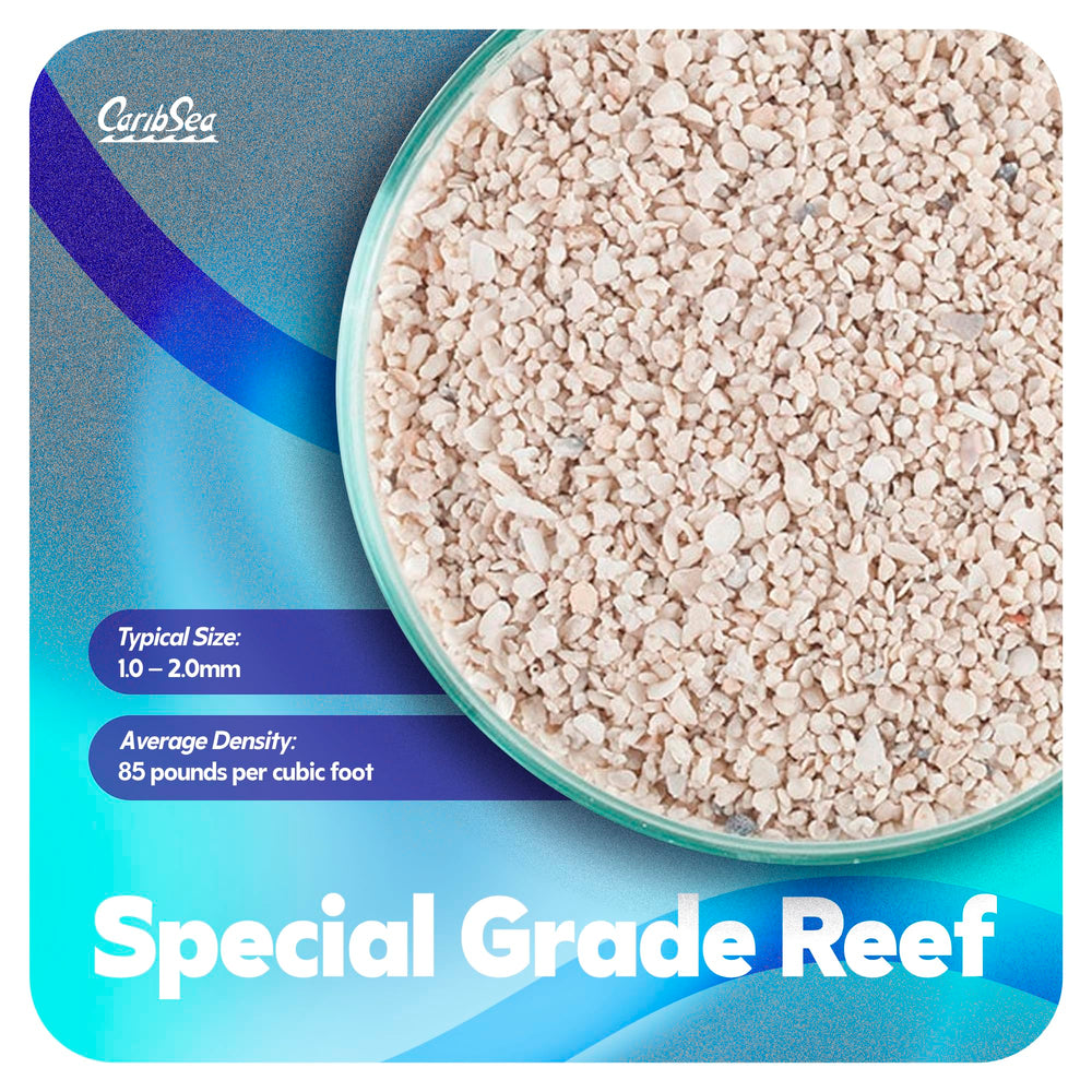CaribSea Arag-Alive tank setup scene suggests pH-stable substrate for marine life.