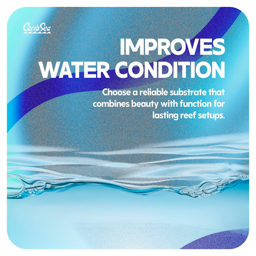 CaribSea Arag-Alive sand water-clarity image indicates reduced waste buildup for pristine tanks.