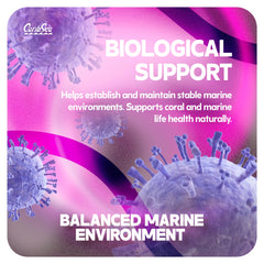 CaribSea Life Rock Frag Zone safe for fish, corals, and invertebrates