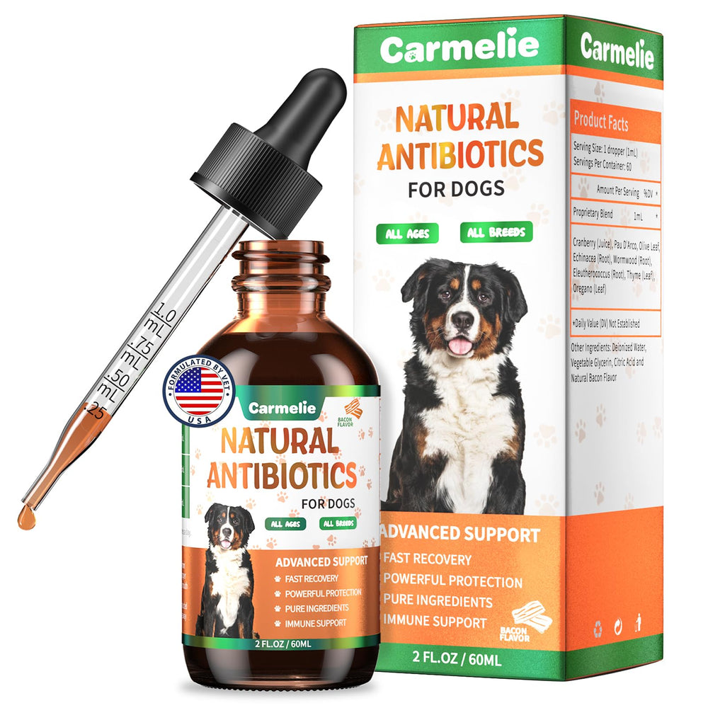 Carmelie canine health routine emphasizes herbal support and vitality.