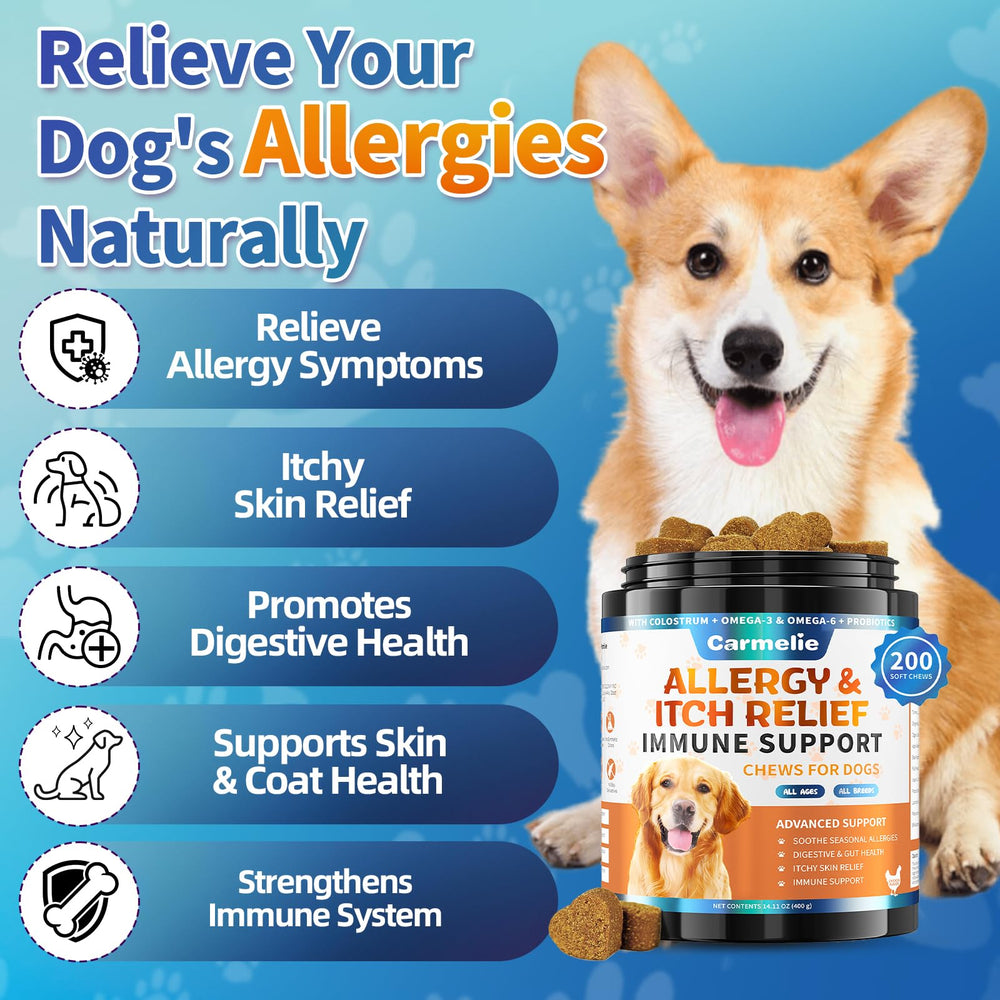 Carmelie dog allergy chews bottle close-up emphasizing chicken flavor and bite-size form.