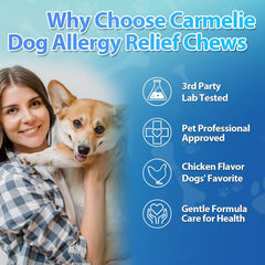 Carmelie dog allergy chews soft texture shown for easy chewing across life stages.