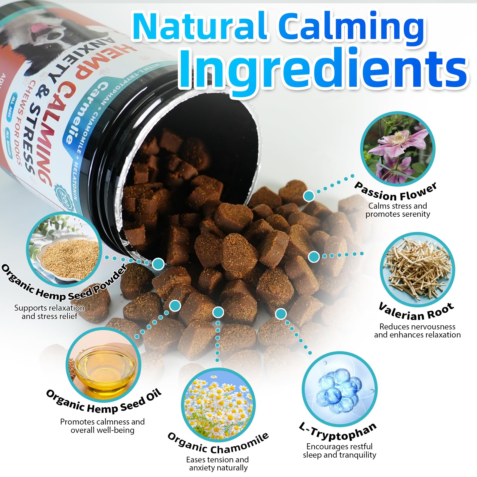 Carmelie calming chew promotes relaxed mood after daily routine