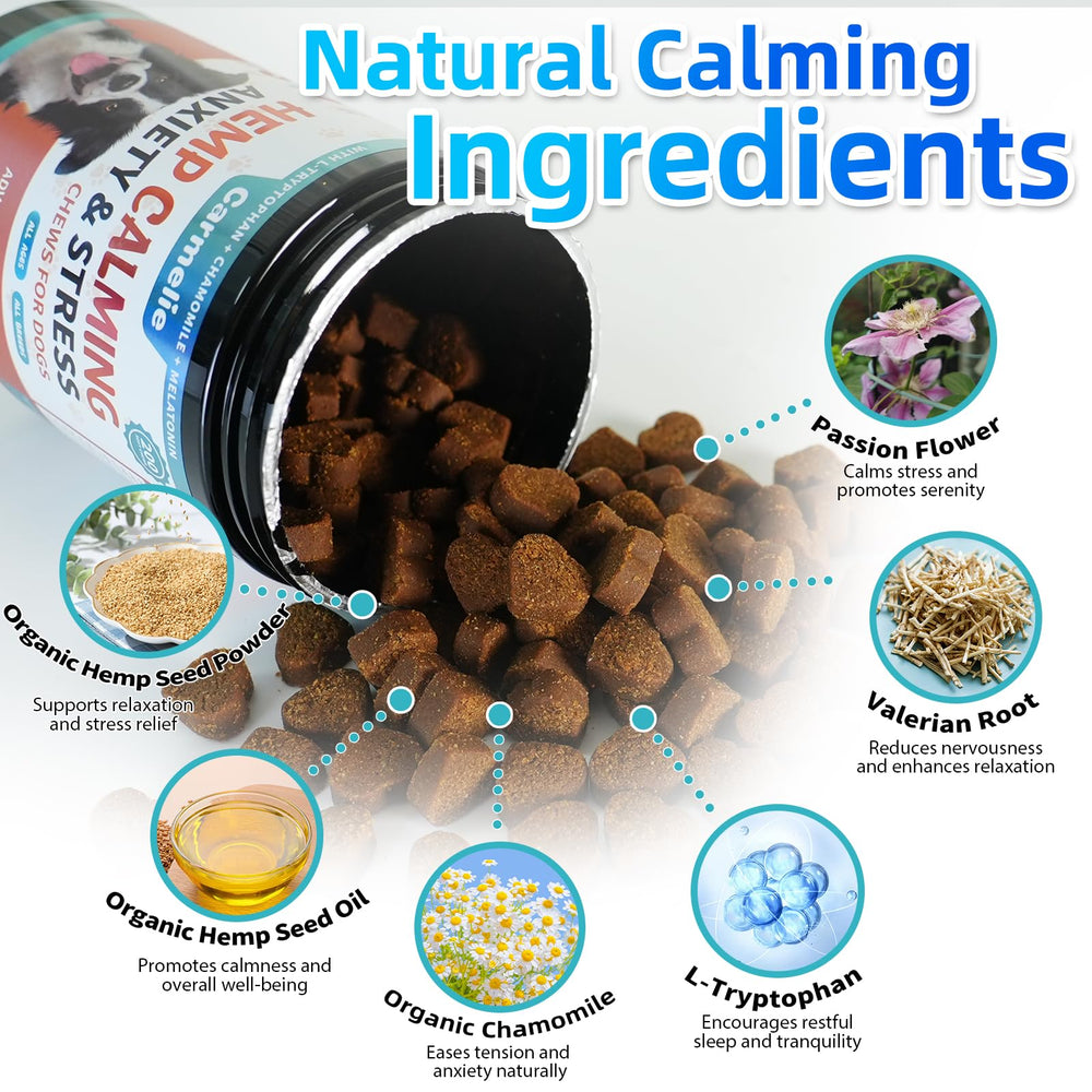 Carmelie calming chew promotes relaxed mood after daily routine