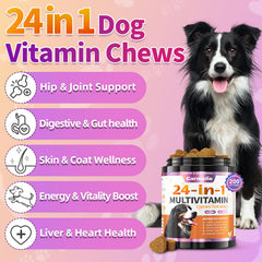 Carmelie 24-in-1 dog vitamins chew promoting a healthy skin and coat.