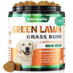 Carmelie Grass Burn Spot Chews bottle on counter promotes lawn-friendly urine management
