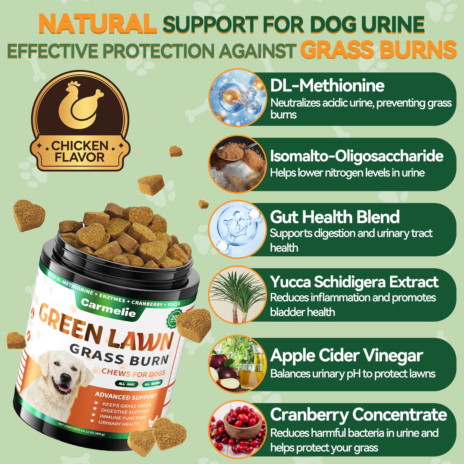 Carmelie Grass Burn Spot Chews held in hand with chicken flavor for easy daily use