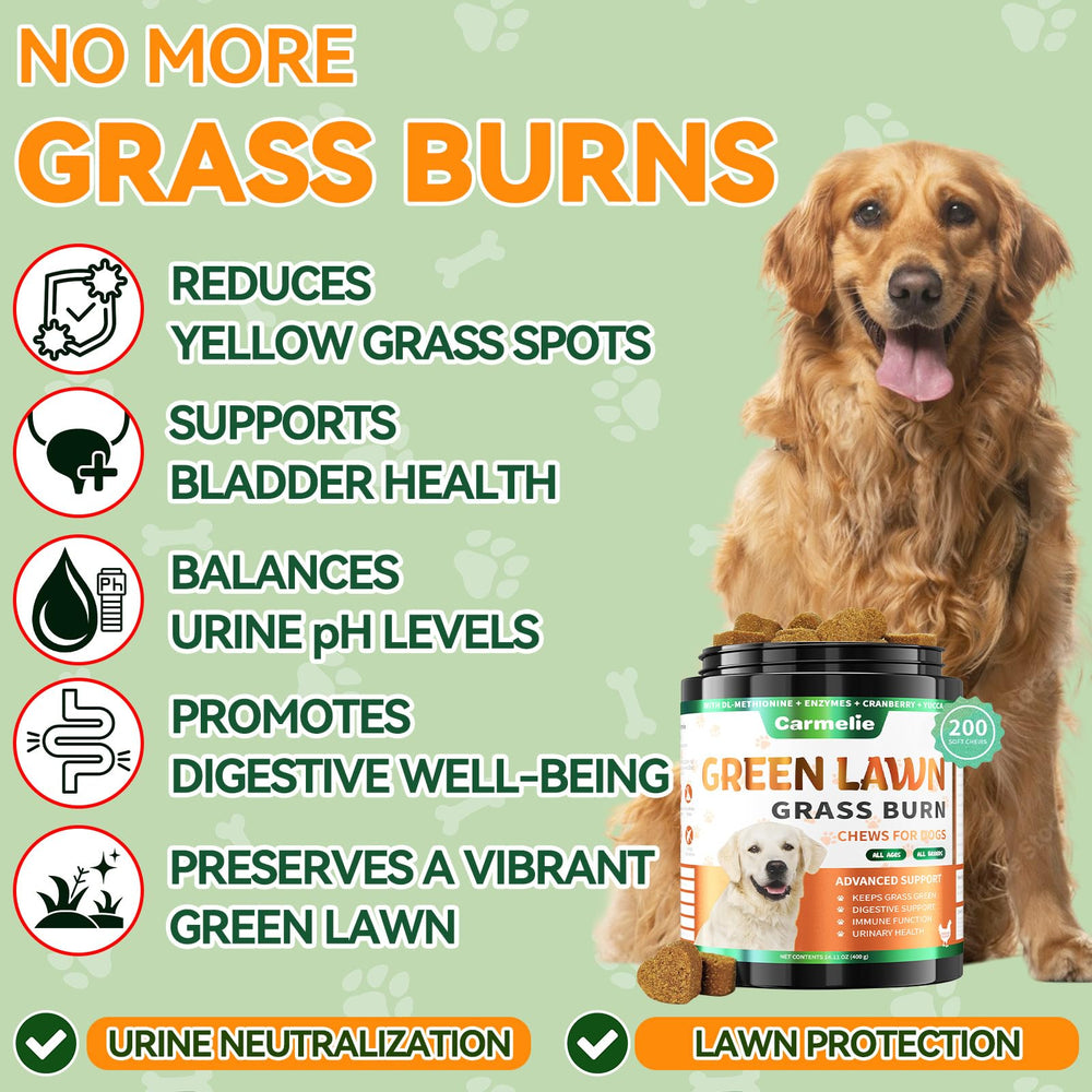 Carmelie Grass Burn Spot Chews jar closeup lists natural ingredients for lawn health