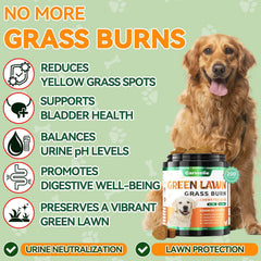 Carmelie Grass Burn Spot Chews jar closeup lists natural ingredients for lawn health
