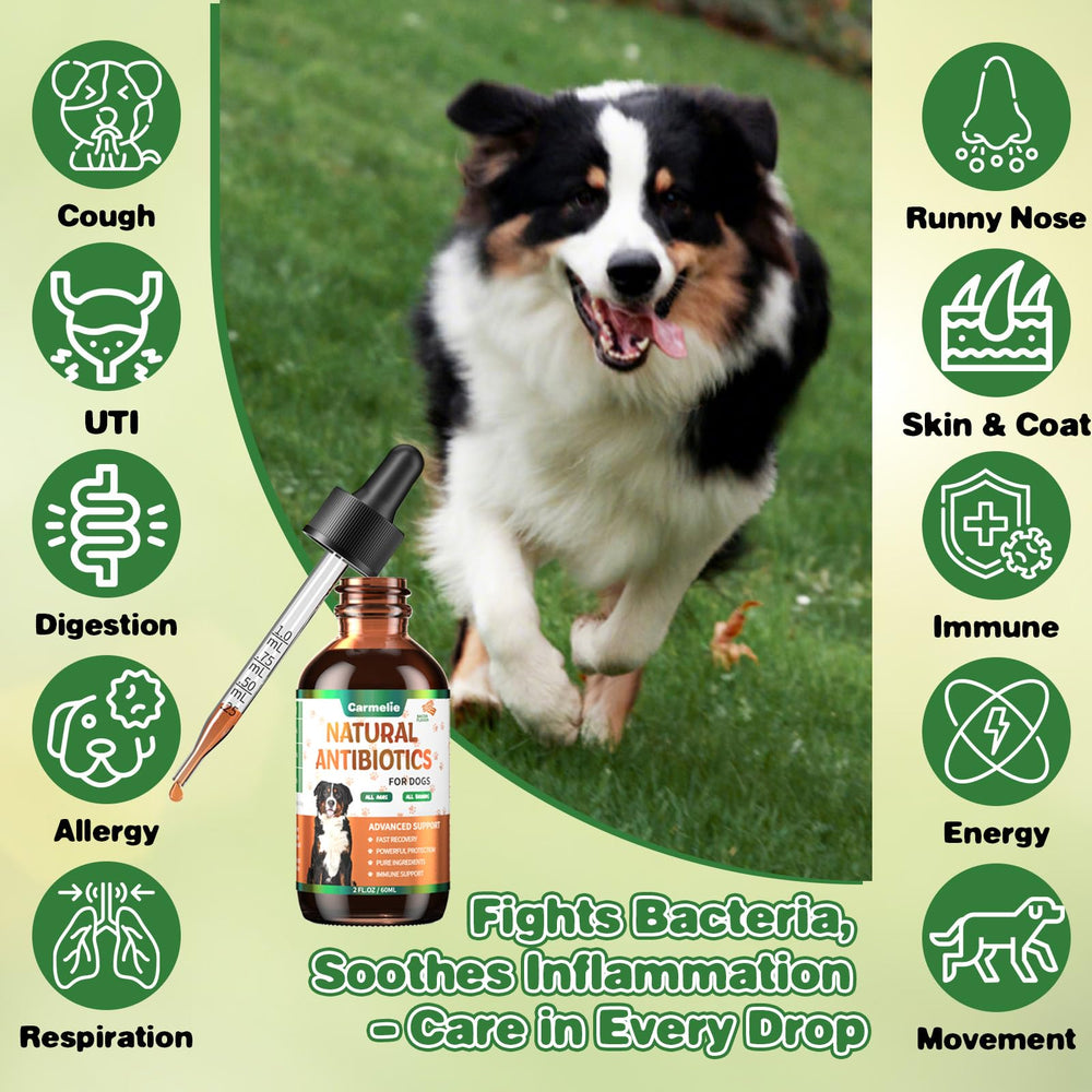 Carmelie herbal drops packaging highlighting skin health support for pets.