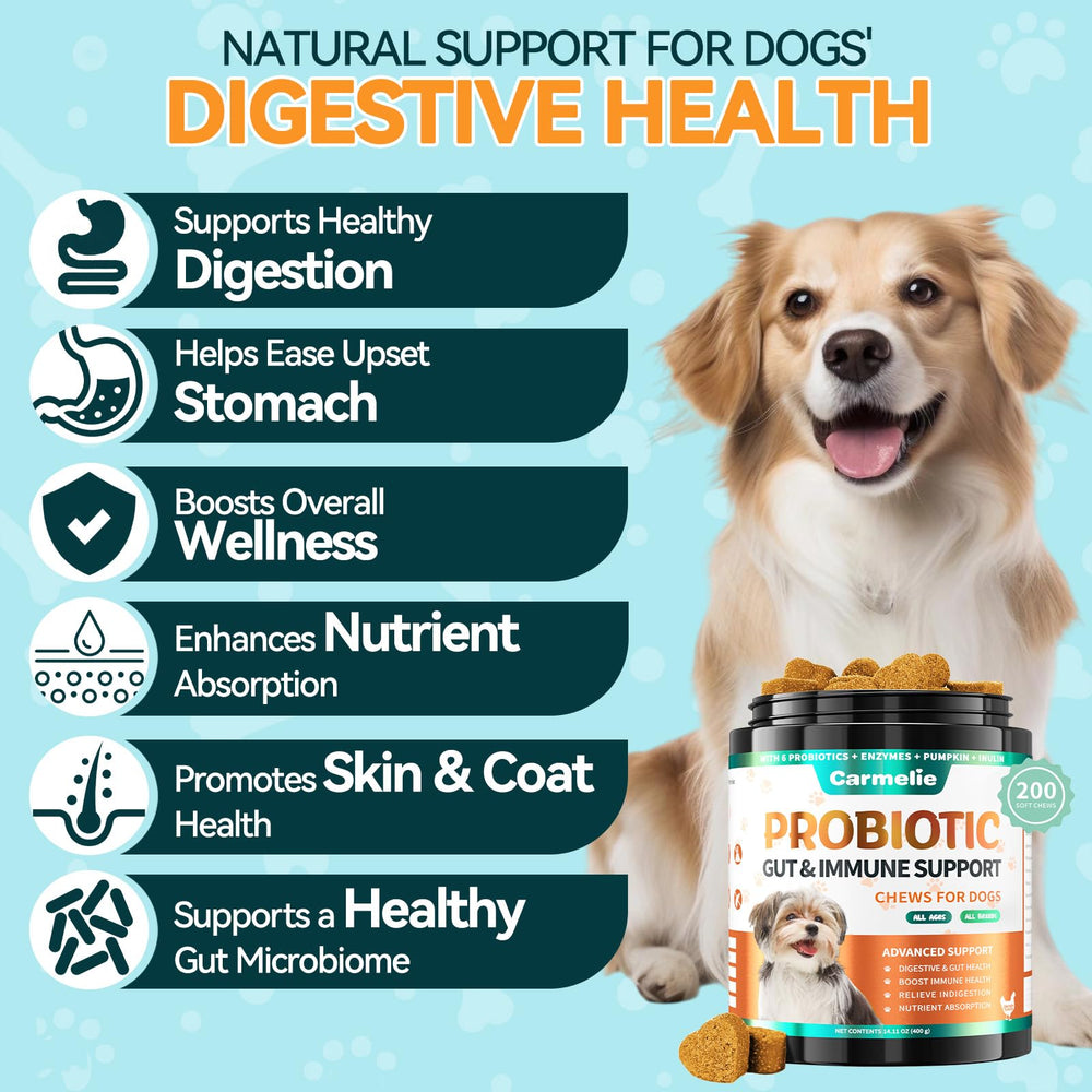 Carmelie Probiotics for Dogs chews close-up show chicken flavor for easy feeding.