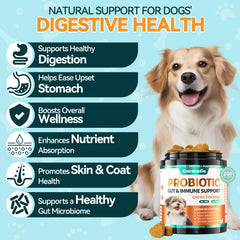 Carmelie Probiotics for Dogs chews close-up show chicken flavor for easy feeding.