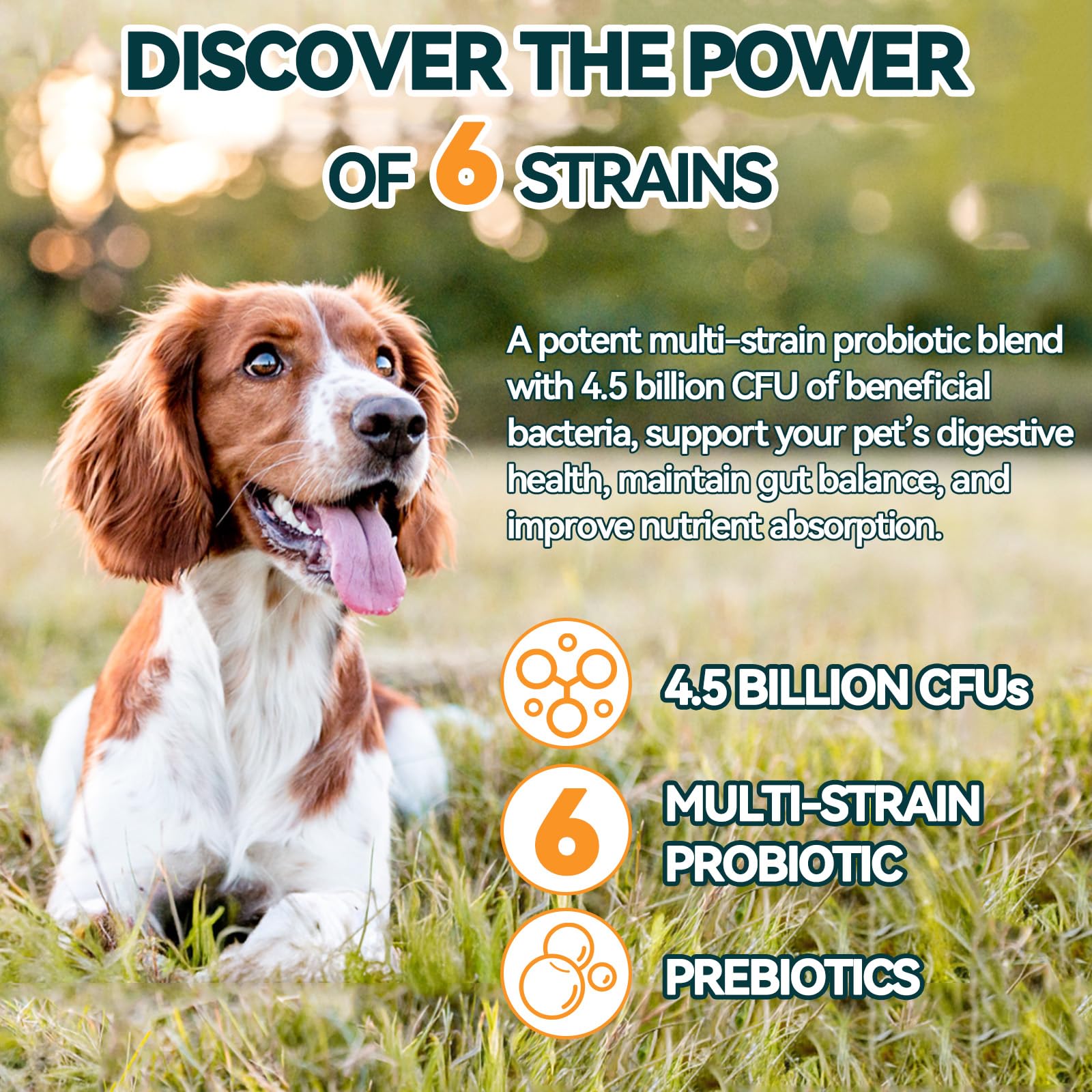 Carmelie Probiotics with flaxseed illustrate skin support and coat health through omega-3 blends.