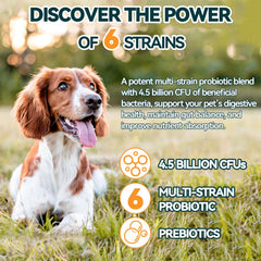 Carmelie Probiotics with flaxseed illustrate skin support and coat health through omega-3 blends.