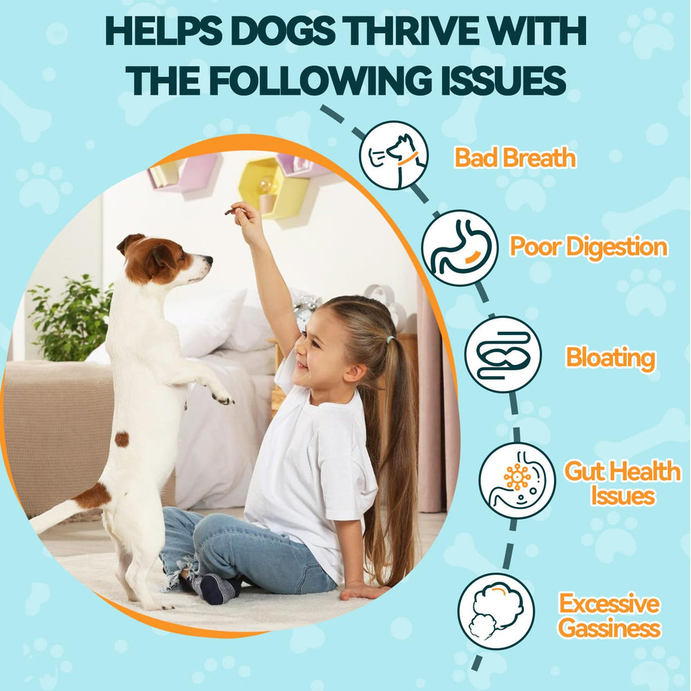 Carmelie Probiotics chews offered during mealtime to support gentle digestion.