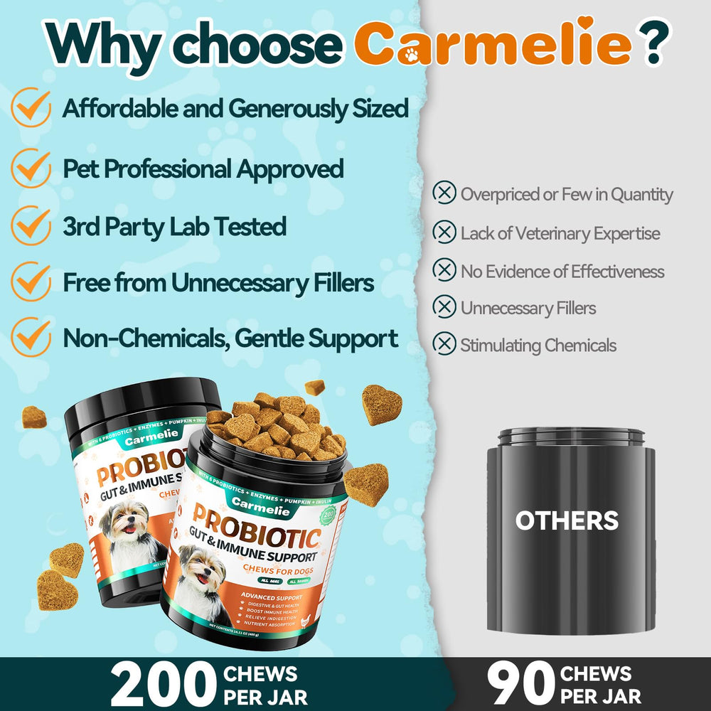 Carmelie Probiotics for Dogs label highlights gut health and immune-friendly formulation.