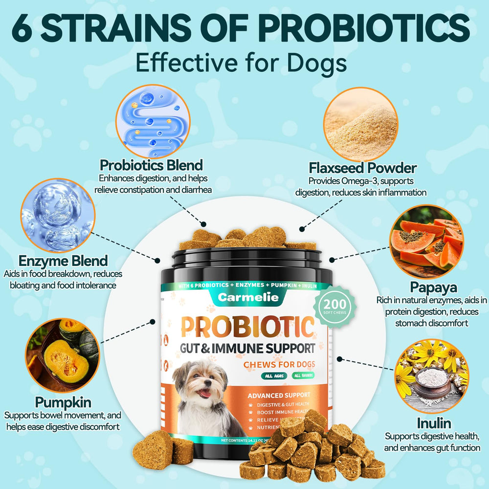Carmelie Probiotics for Dogs pumpkin and enzyme blend supporting gas relief and comfort.