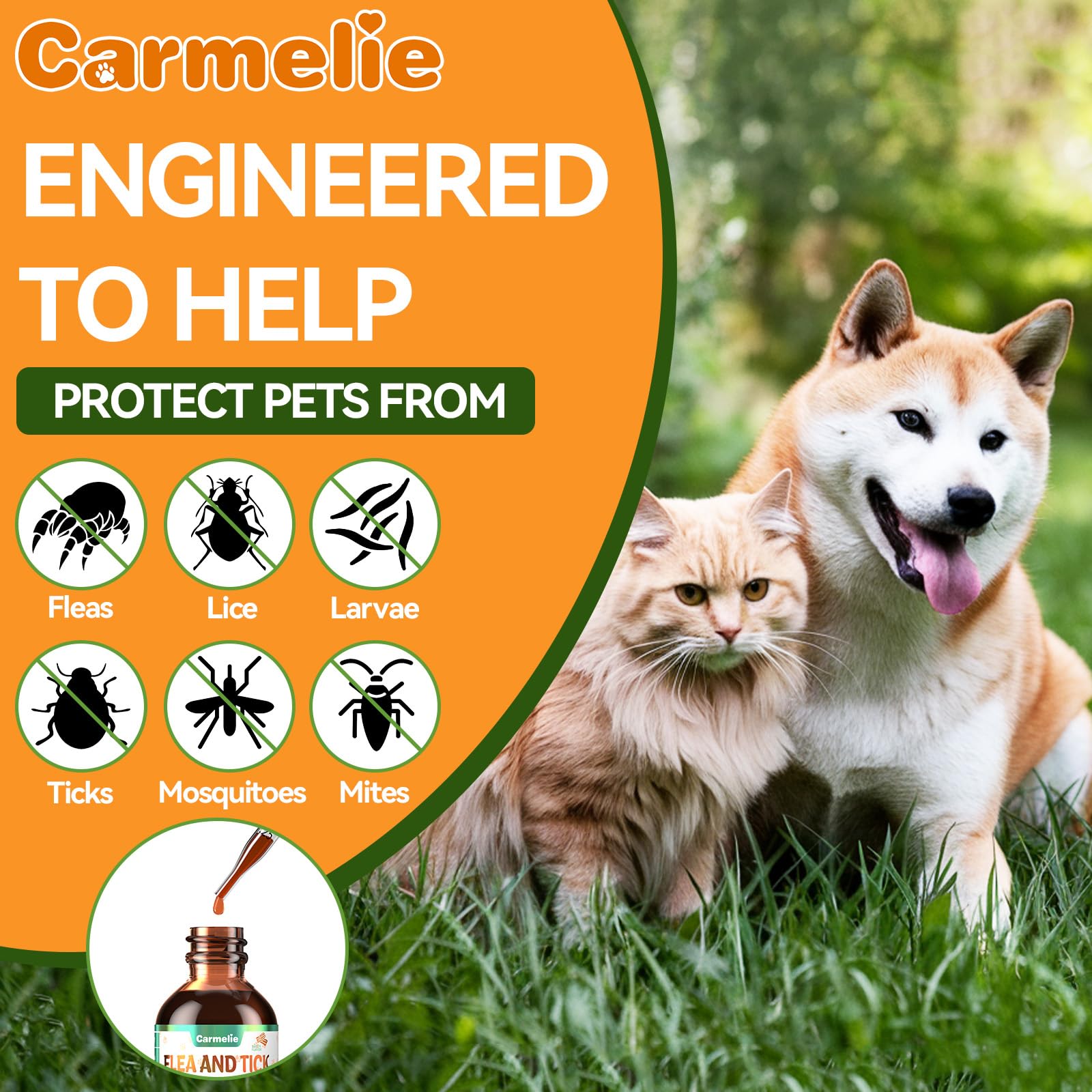 Carmelie product-labeled bottle with pet enjoying bacon flavor.