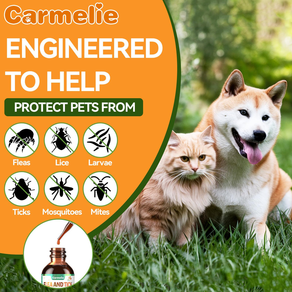 Carmelie product-labeled bottle with pet enjoying bacon flavor.