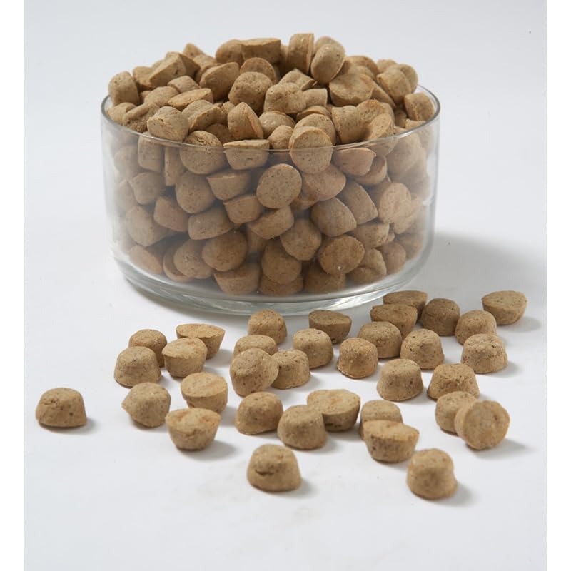 CARNA4 All Life Stages kibble closeup—nutrient-dense nuggets.