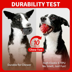 CAROZEN automatic moving toy shows irregular motion to entice dogs.
