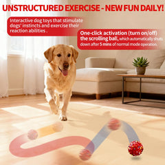 CAROZEN dog ball in action bouncing indoors for exercise and engagement.