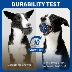 CAROZEN rechargeable dog toy with Type-C charging delivers extended play sessions.