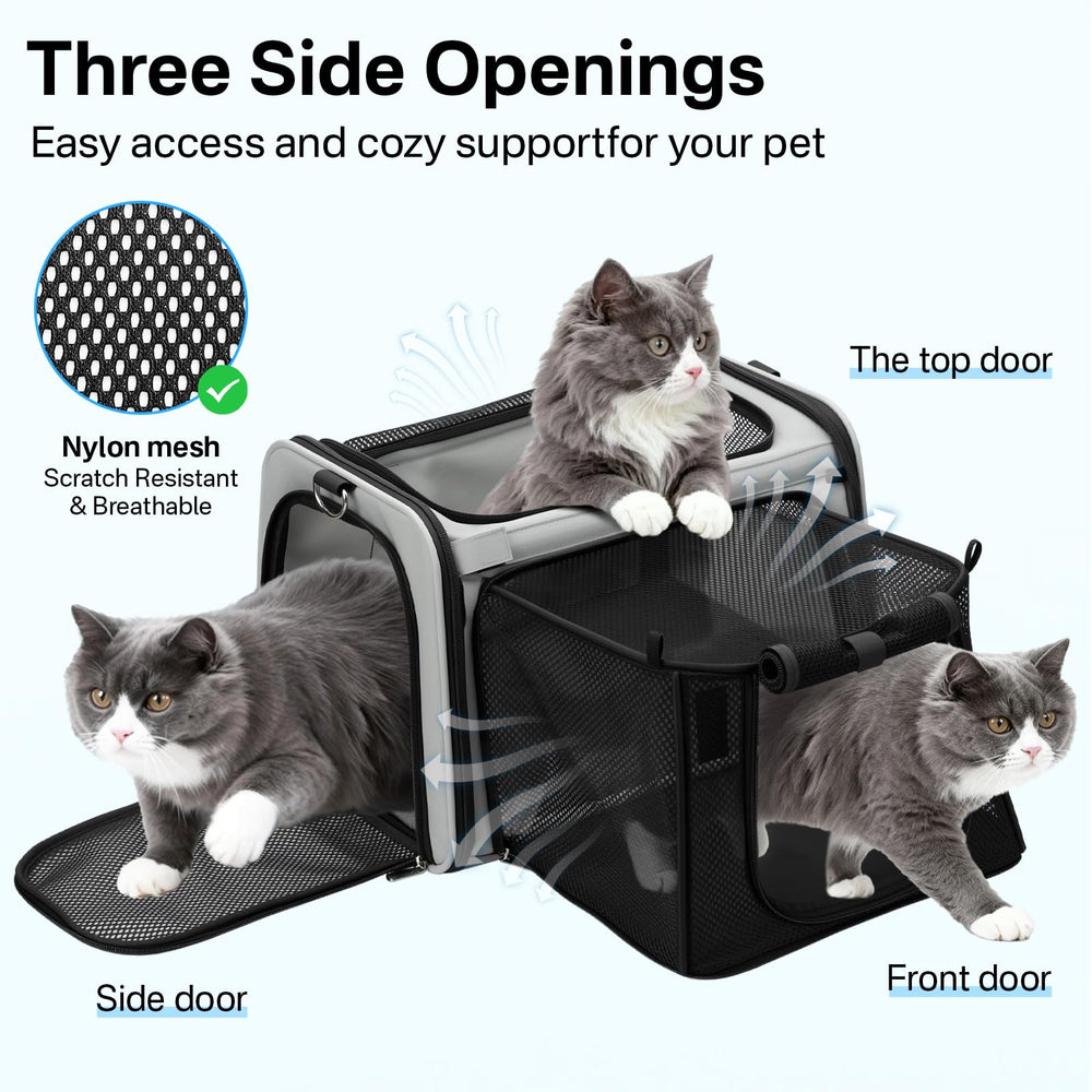 CarryTip expandable cat carrier inside safety leash restrains your cat securely.