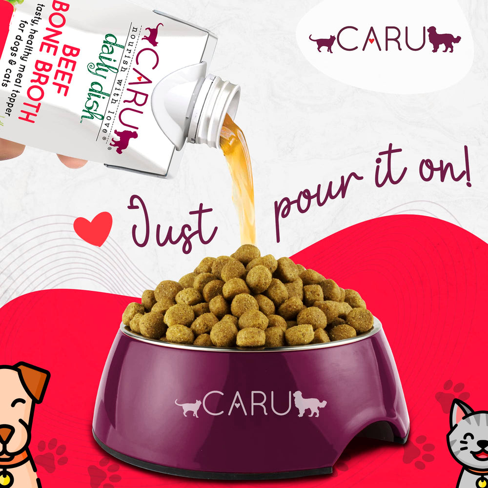 Caru Daily Dish beef bone broth topper shown with dog bowl and moist kibble