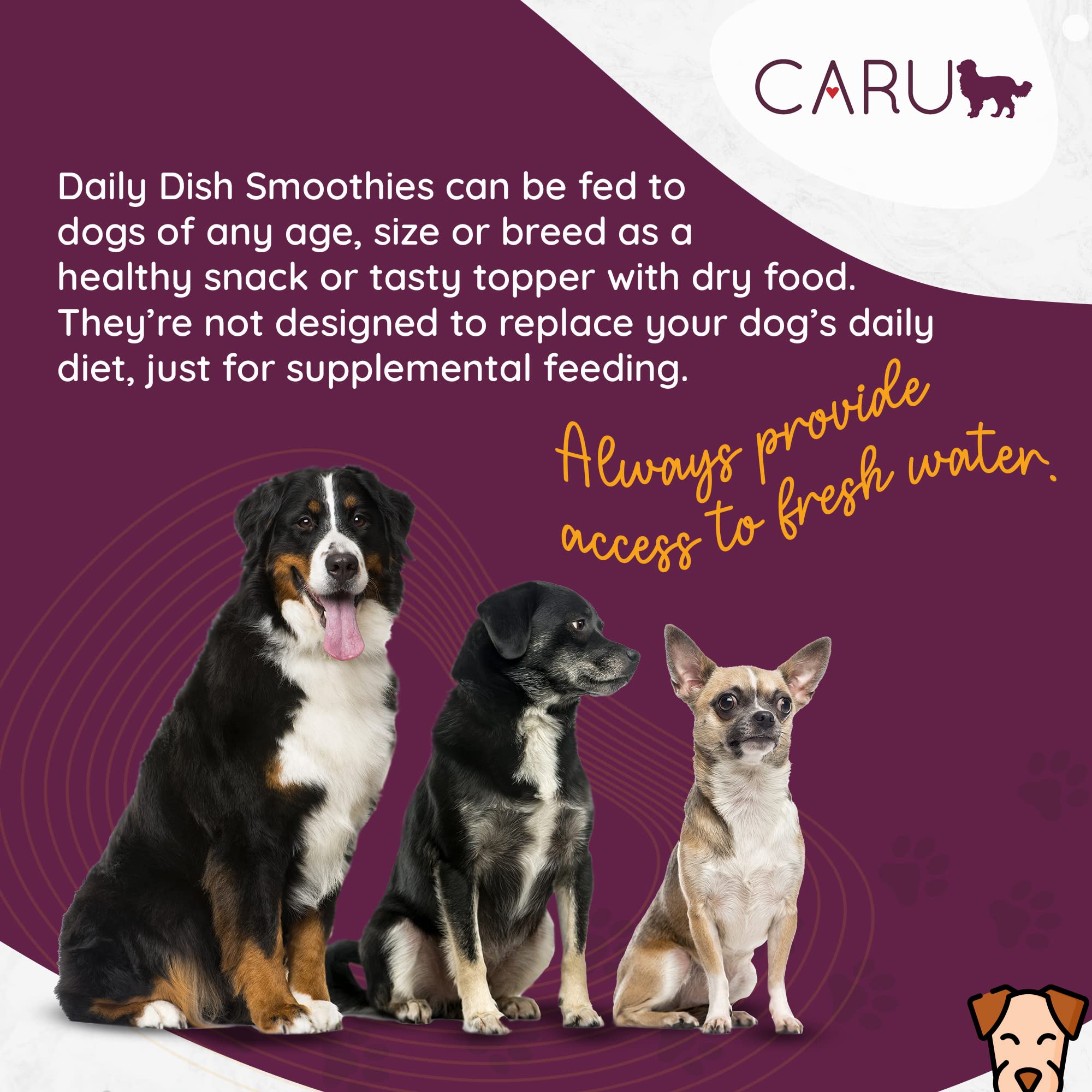 Caru Daily Dish Smoothies four pouches per pack for easy portion control