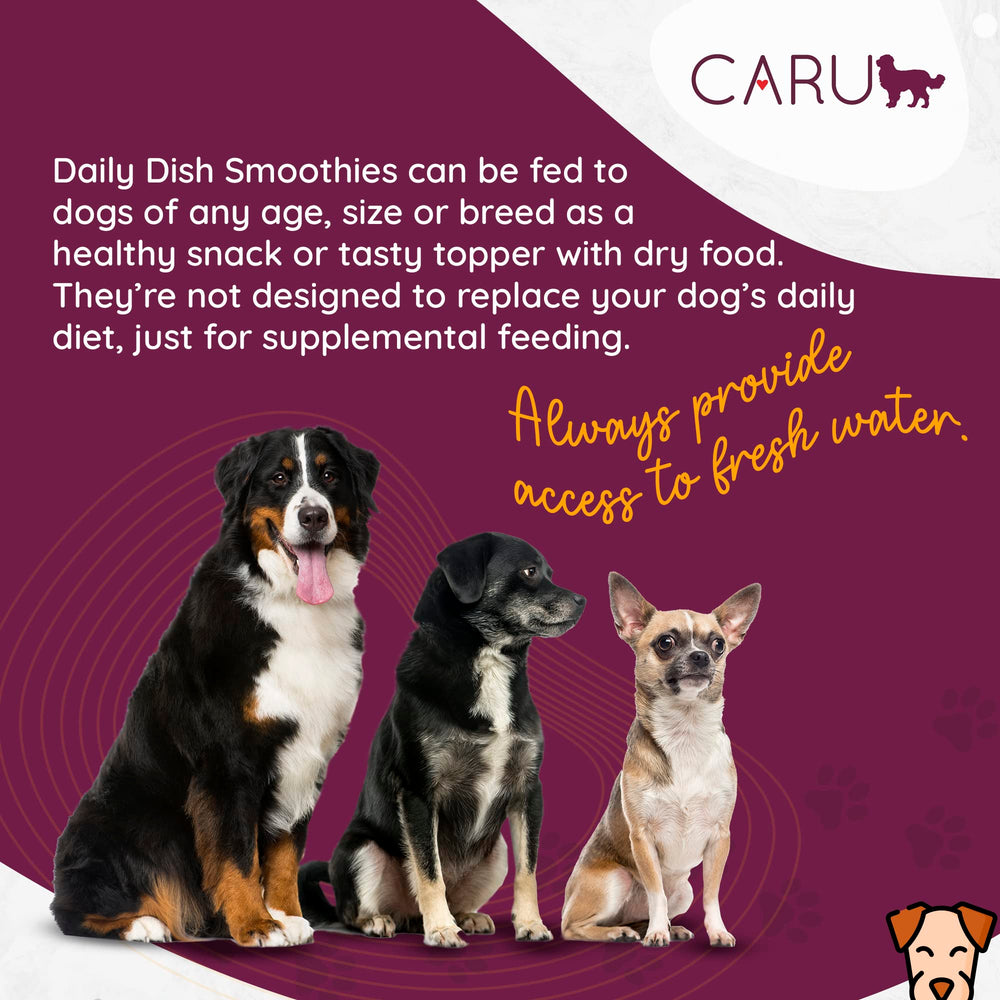 Caru Daily Dish Smoothies four pouches per pack for easy portion control