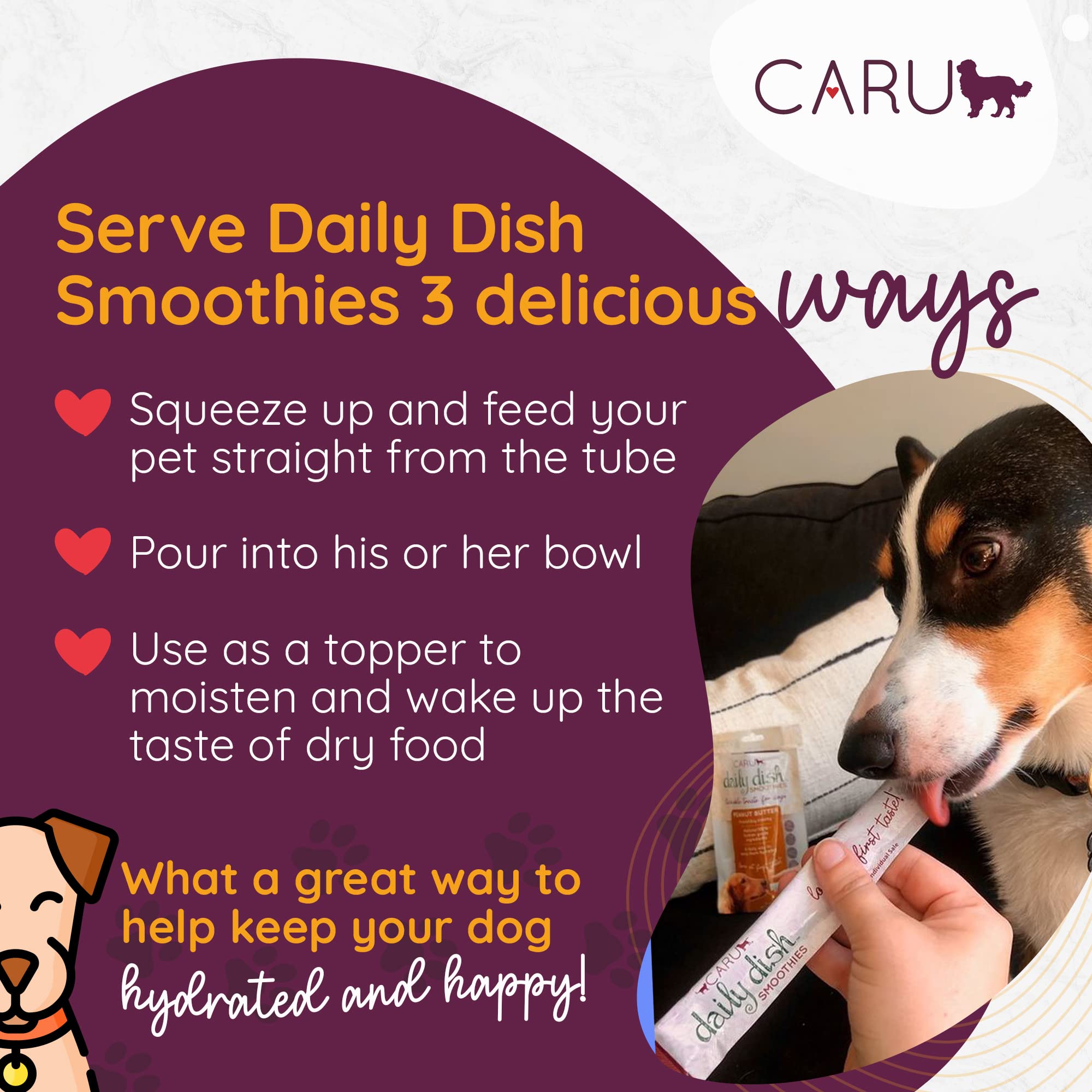 Caru Daily Dish Smoothies close-up reveals creamy peanut butter texture for dogs
