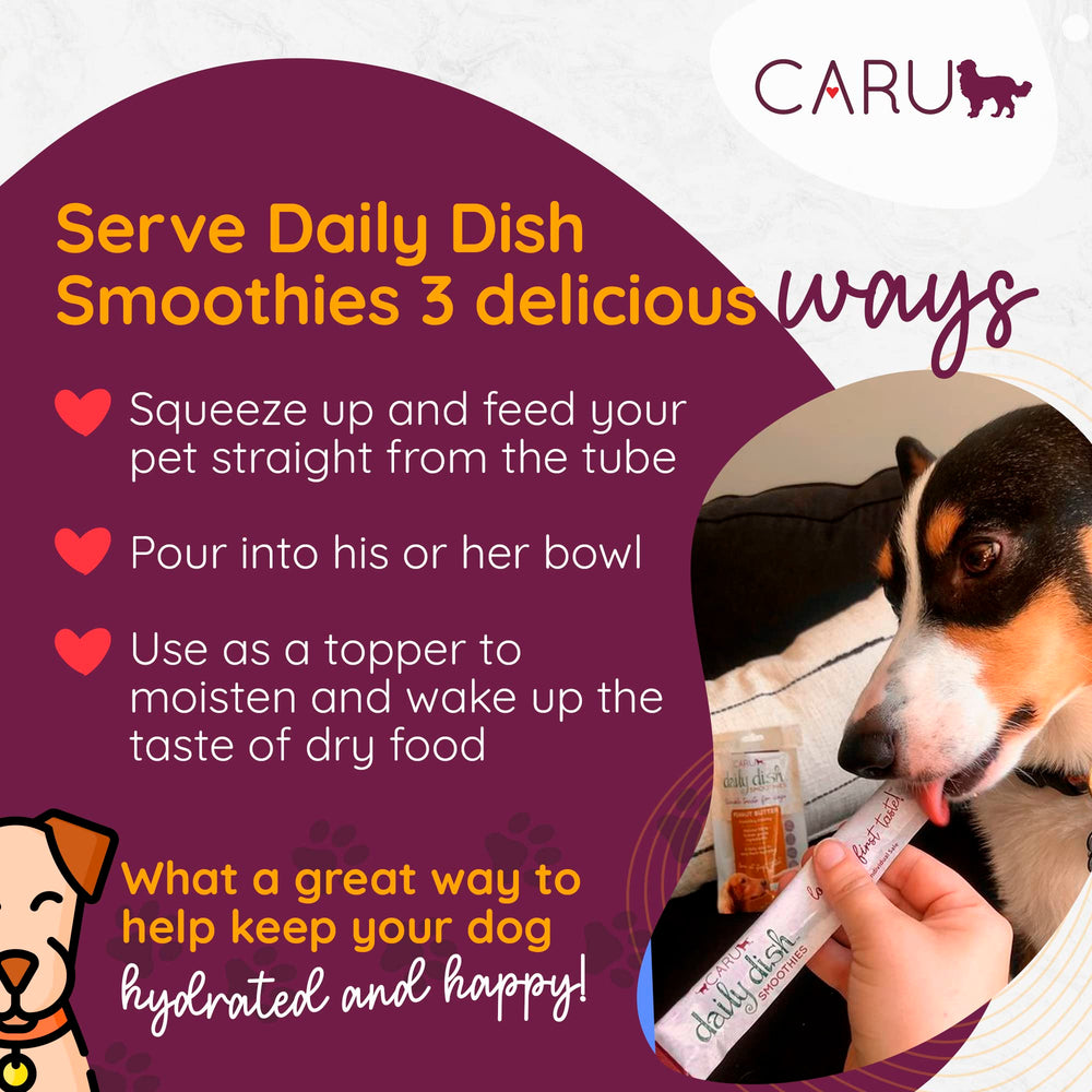 Caru Daily Dish Smoothies close-up reveals creamy peanut butter texture for dogs