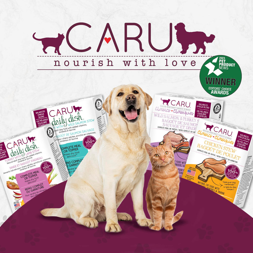Caru Daily Dish easy-open lid enables quick, mess-free feeding sessions.