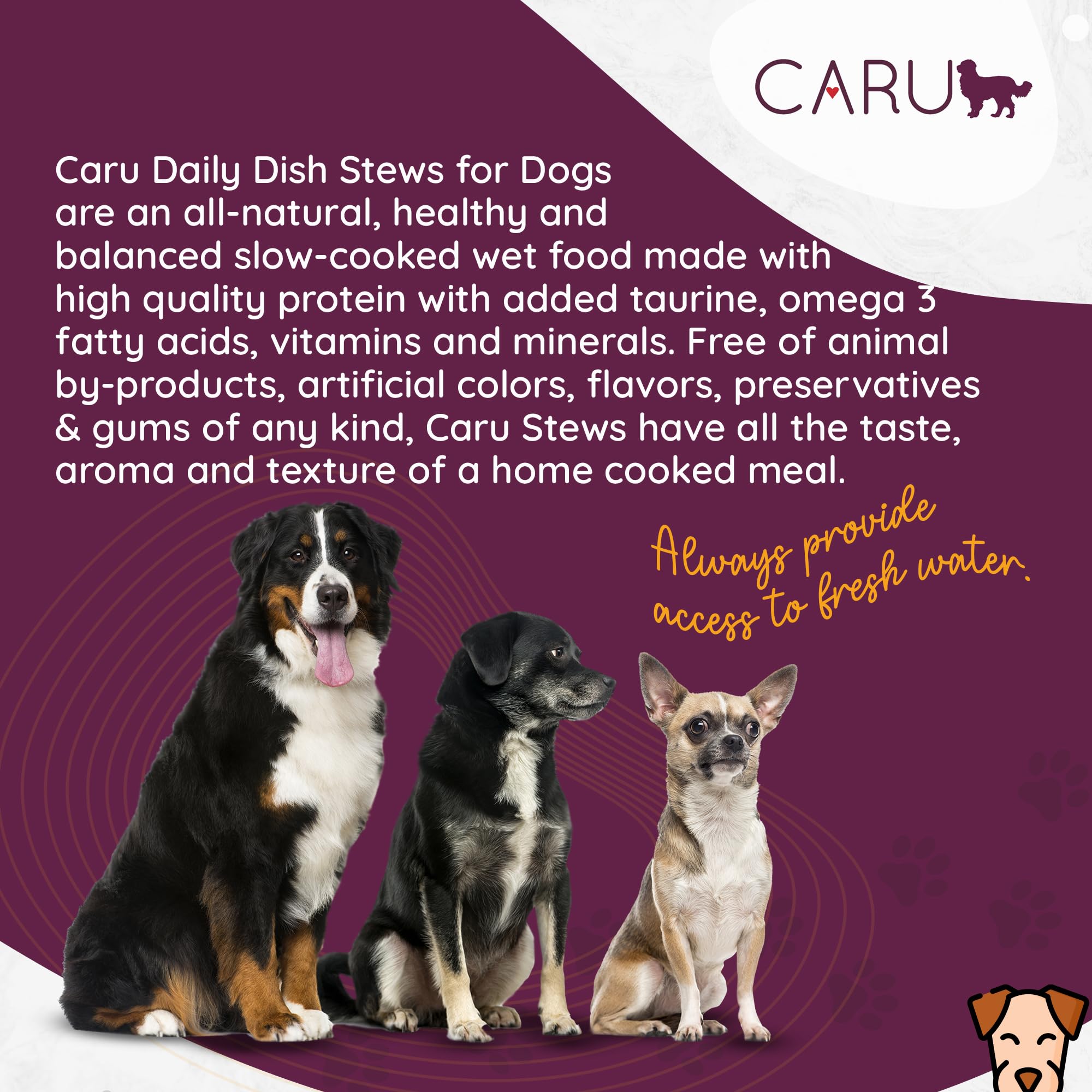 Caru Daily Dish veggies-fruits medley emphasizes natural ingredients and balanced nutrition.