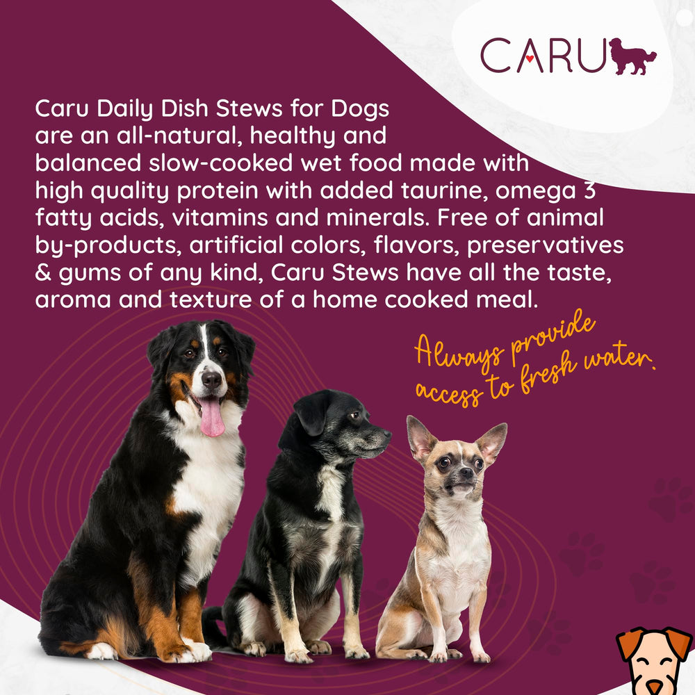 Caru Daily Dish veggies-fruits medley emphasizes natural ingredients and balanced nutrition.