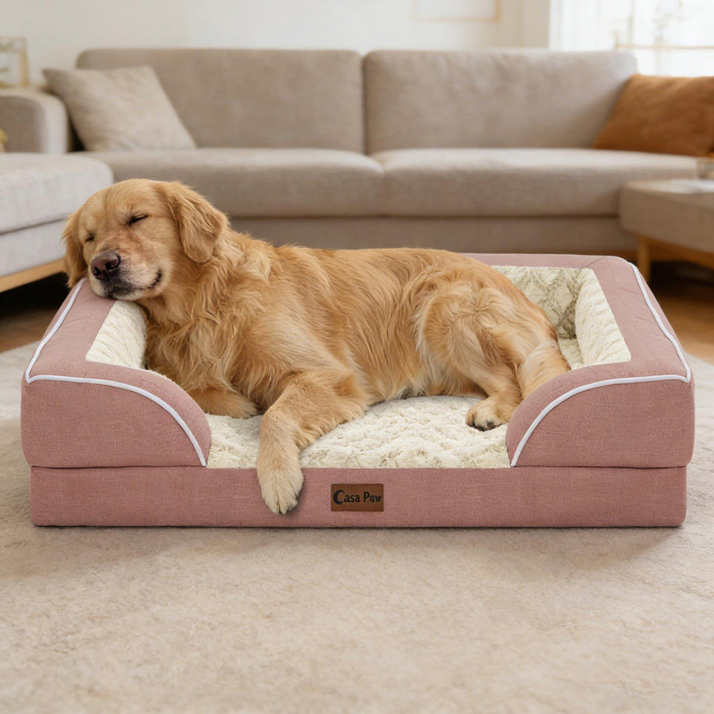 Casa Paw 36x27 bed size shown for dogs up to 50 lbs.