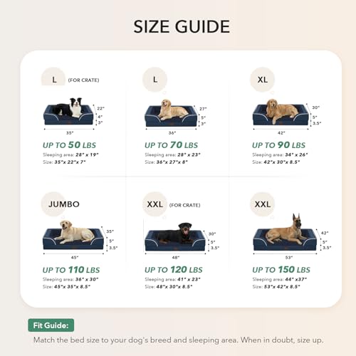 Casa Paw non-slip bottom keeps bed in place during play.