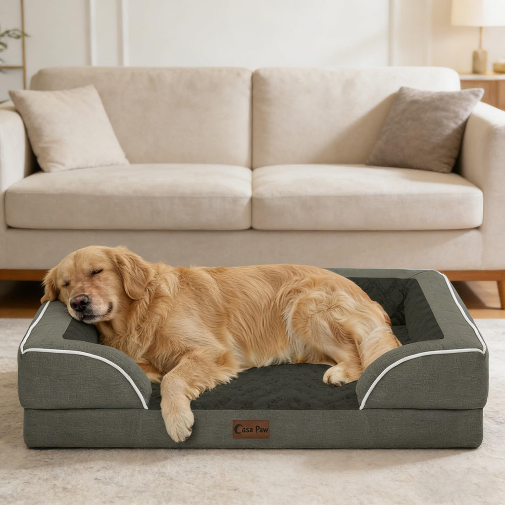 Casa Paw dark-green cover highlights durable, cozy living space